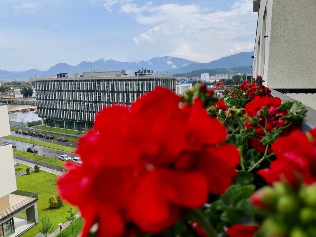 Executive Apartment Avantgarden Coresi Brașov Exterior foto